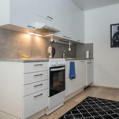 Holiday Ka¤pymaja Tatil Evi Vuokatti